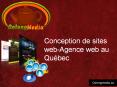 Conception de sites web-Agence web au Québec PowerPoint PPT Presentation
