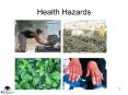 Health Hazards PowerPoint PPT Presentation