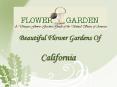 Beautiful Flower Gardens of California PowerPoint PPT Presentation