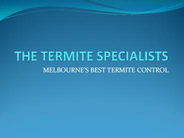 The Termite Specialists