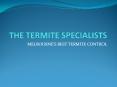 The Termite Specialists