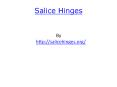 Salice Hinges