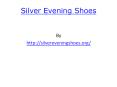Silver Evening Shoes
