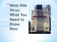 West Nile Virus: What You Need to Know Now PowerPoint PPT Presentation