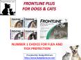 Frontline Plus for Dogs and Cats PowerPoint PPT Presentation