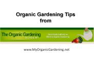 Organic Gardening Tips