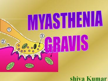 mysthenia gravis