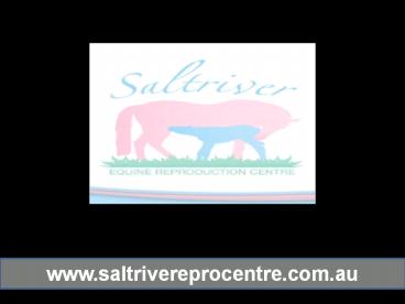 Saltriver Reproduction Centre- Facilities
