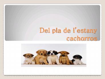 Del pla de l'estany cachorros