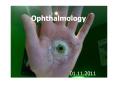 Ophthalmology 01.11.2011 Plan of Talk Context History PowerPoint PPT Presentation