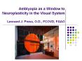 Amblyopia as a Window to Neuroplasticity in the Visual System  Leonard J. Press, O.D., FCOVD, FAAO PowerPoint PPT Presentation