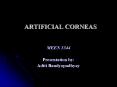 ARTIFICIAL CORNEAS MEEN 3344 Presentation by: Aditi PowerPoint PPT Presentation