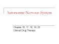 Autonomic Nervous System Chapter 16, 17, 18, 19, 20 Clinical PowerPoint PPT Presentation