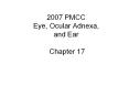 2007 PMCC Eye, Ocular Adnexa, and Ear Chapter 17 Chapter PowerPoint PPT Presentation