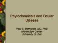 Phytochemicals and Ocular Disease Paul S. Bernstein, MD, PhD PowerPoint PPT Presentation