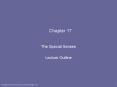 Chapter 17 The Special Senses Lecture Outline Chapter 17 The PowerPoint PPT Presentation