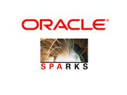 Virtual Private Database