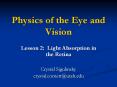 Physics of the Eye and Vision PowerPoint PPT Presentation