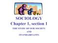 SOCIOLOGY Chapter 1, section 1 PowerPoint PPT Presentation