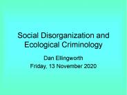Social Disorganization and Ecological Criminology