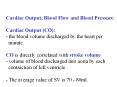 Cardiac Output, Blood Flow and Blood Pressure PowerPoint PPT Presentation