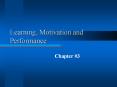 Learning, Motivation and Performance Chapter #3 Learning PowerPoint PPT Presentation