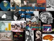 Post Traumatic Stress Disorder PTSD PowerPoint PPT Presentation