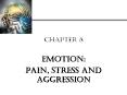 CHAPTER 8 Emotion: PAIN, stress and aggression PowerPoint PPT Presentation