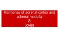 Hormones of adrenal cortex and adrenal medulla & Stress PowerPoint PPT Presentation