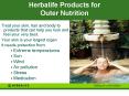 Basic nutrition and care for your skin Herbalife Products PowerPoint PPT Presentation