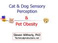 Cat & Dog Sensory Perception & Pet Obesity Steven Witherly PowerPoint PPT Presentation