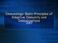 Immunology: Basic Principles of Adaptive Immunity and Immunizations PowerPoint PPT Presentation