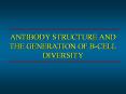 ANTIBODY STRUCTURE AND THE GENERATION OF B-CELL DIVERSITY PowerPoint PPT Presentation