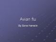Avian flu PowerPoint PPT Presentation