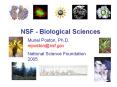 NSF - Biological Sciences PowerPoint PPT Presentation