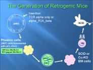 The Generation of Retrogenic Mice