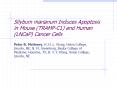 Silybum marianum Induces Apoptosis in Mouse (TRAMP-C1) and Human (LNCaP) Cancer Cells PowerPoint PPT Presentation