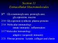 Section 11 Extracellular Macromolecules PowerPoint PPT Presentation