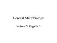General Microbiology