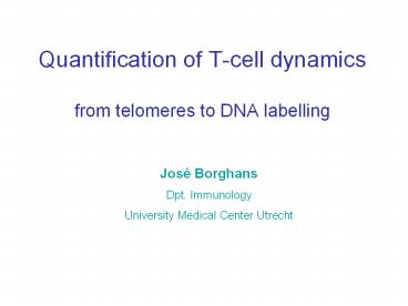 Quantification of T-cell dynamics  from telomeres to DNA labelling
