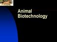 Animal Biotechnology PowerPoint PPT Presentation