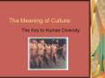 The Meaning of Culture PowerPoint PPT Presentation