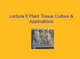 Lecture 8 Plant Tissue Culture & Applications PowerPoint PPT Presentation
