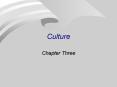Culture PowerPoint PPT Presentation