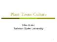 Plant Tissue Culture PowerPoint PPT Presentation