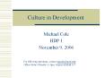 Culture in Development PowerPoint PPT Presentation