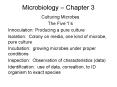 Microbiology  PowerPoint PPT Presentation
