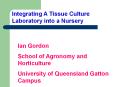 Integrating A Tissue Culture Laboratory into a Nursery PowerPoint PPT Presentation