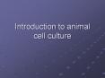 Introduction to animal cell culture PowerPoint PPT Presentation