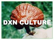 DXN CULTURE